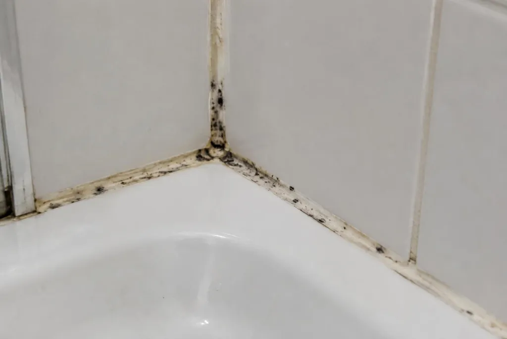 Kitbedrijf Schoonhoven – beschimmelde kitranden